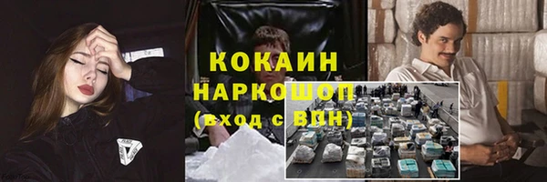 СК Коряжма