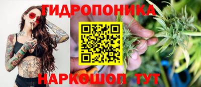 стафф Краснодар