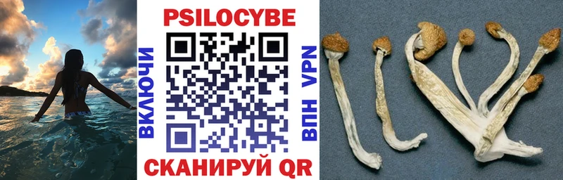 сколько стоит  Краснотурьинск  Псилоцибиновые грибы ЛСД 