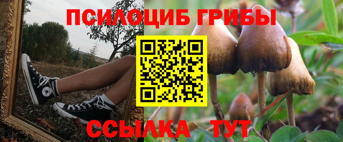 Псилоцибиновые грибы MAGIC MUSHROOMS Краснотурьинск