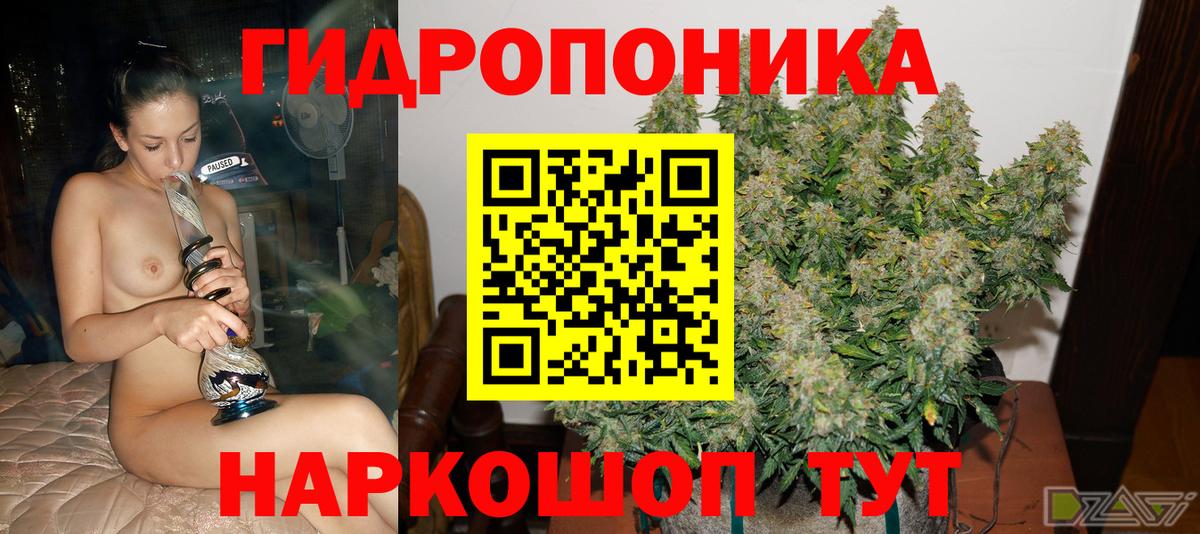 Канабис White Widow  Каннабис индика  Краснотурьинск  МАРИХУАНА марихуана  Конопля план  Вход с VPN 